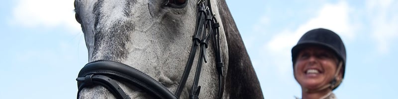 Fyra_nya_sporter_ingar_nu_i_friskvardsbidraget